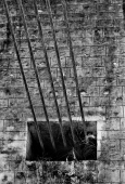 IIP Online Student Photography